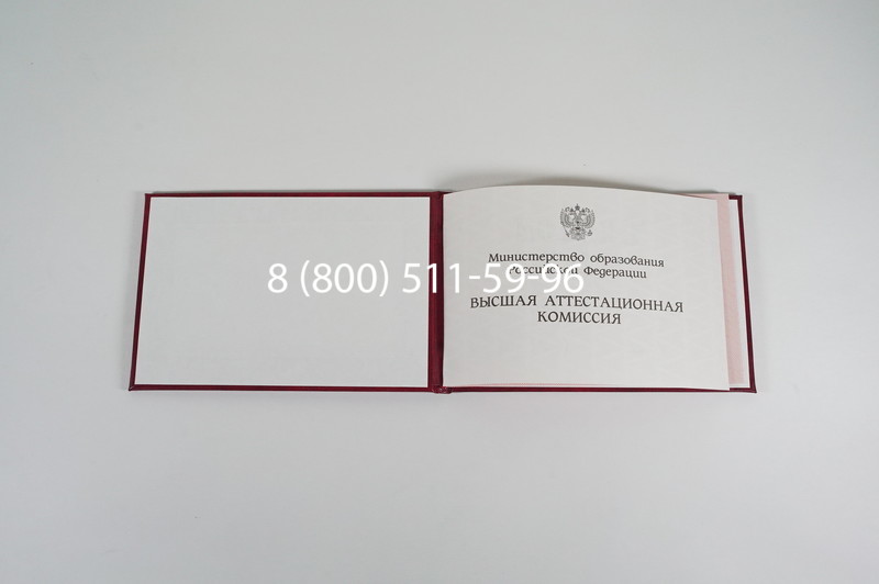 Диплом доктора наук 1995-2006 года в Батайске Диплом доктора наук 1995-2006 года в Батайске
