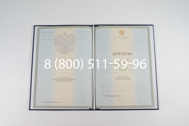 Диплом специалиста 2003-2009 годов в Батайске