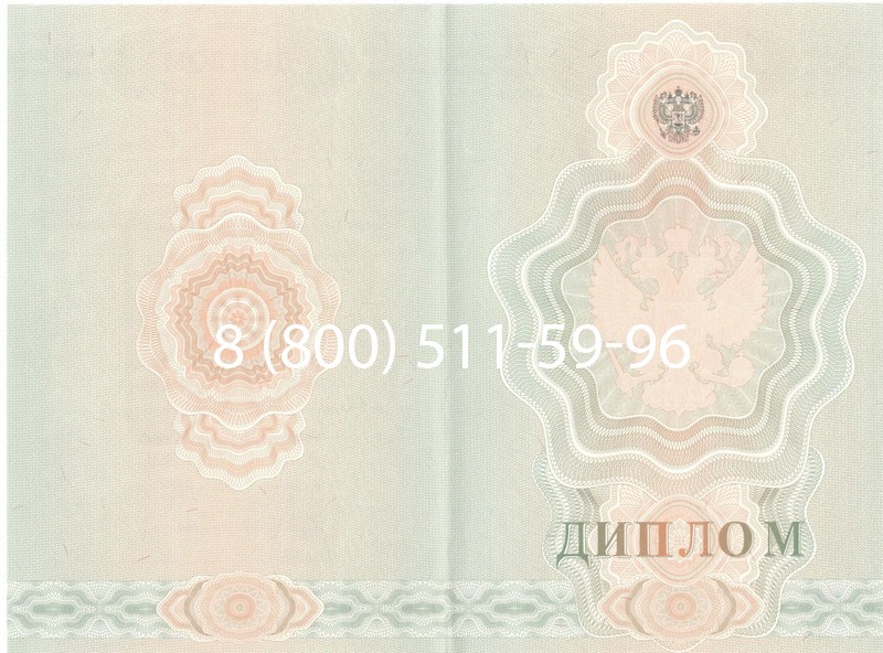 Купить Диплом училища 2007-2009 годов в Батайске Купить Диплом училища 2007-2009 годов в Батайске